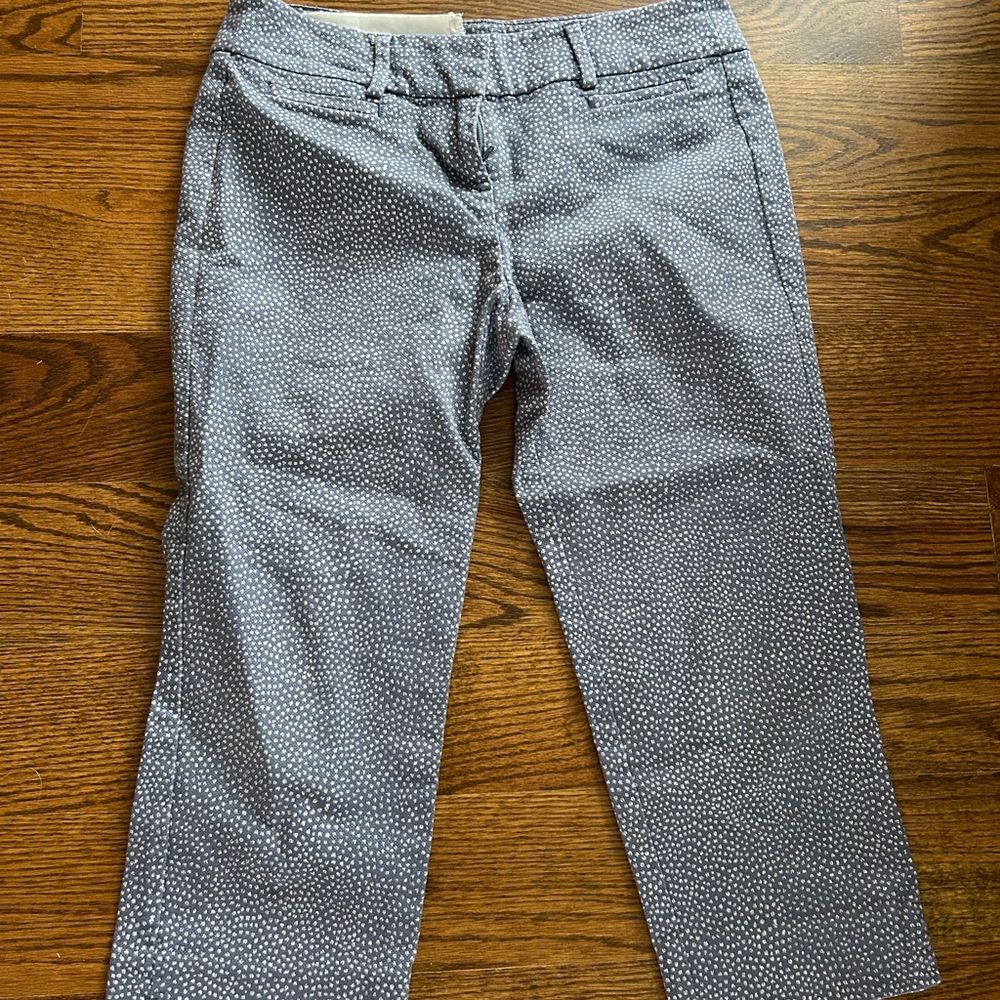 LOFT Blue Speckled Waistband and White-Lined Shorts